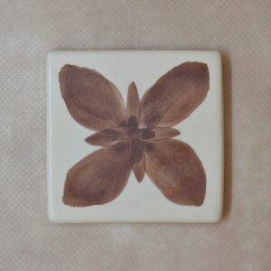 PIGMENTO 15CC MARRON MR-22