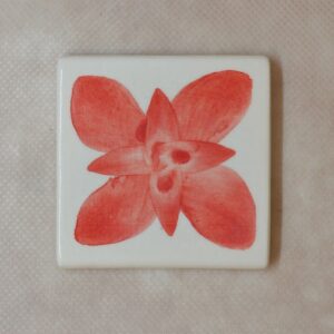 PIGMENTO 15CC ROJO RJ-38