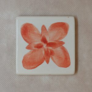 PIGMENTO 15CC ROJO RJ-33