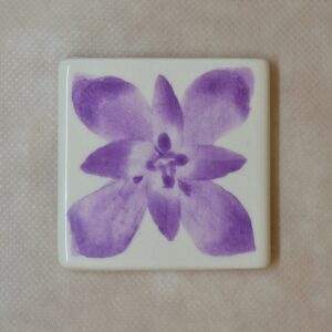 PIGMENTO 15CC LILA LI-34