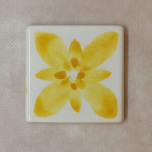 PIGMENTO 15CC NARANJA NJ-52