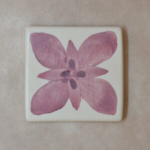 BAJO CUBIERTA 25GRS BERB30 RUBI